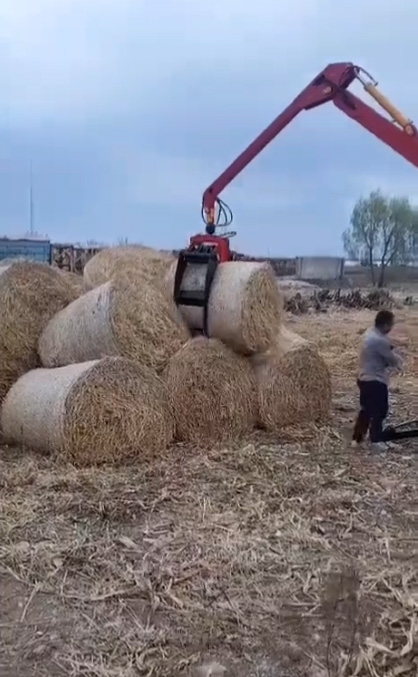 抓木機遙控操作視頻